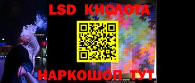 apvp Бердск