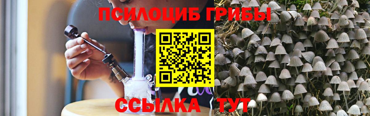 Псилоцибиновые грибы GOLDEN TEACHER  Вход с VPN  Мичуринск 